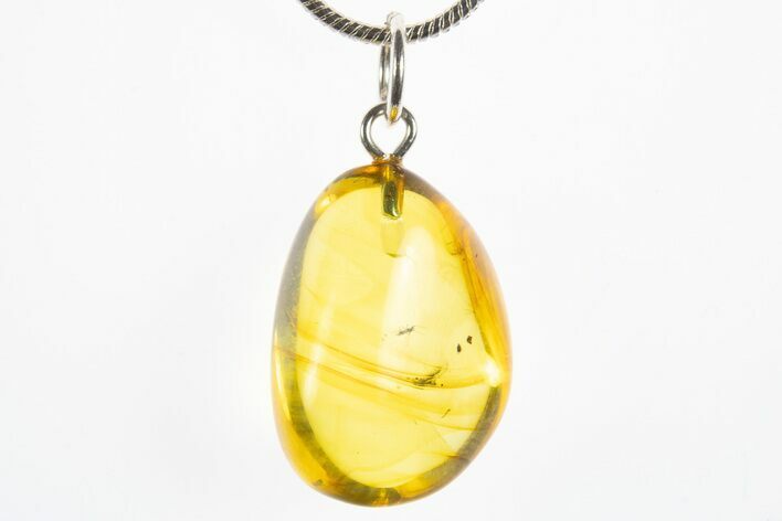 Polished Baltic Amber Pendant (Necklace) - Contains Fly! #310996